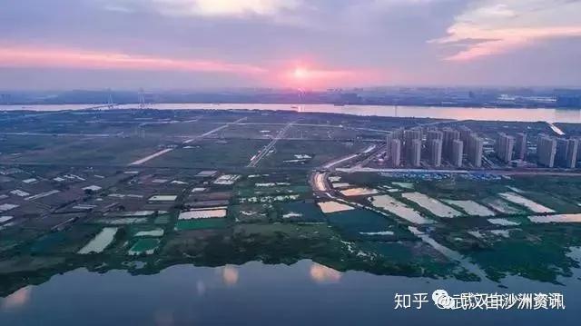 白沙洲最新消息，城市發(fā)展的脈搏與未來(lái)展望