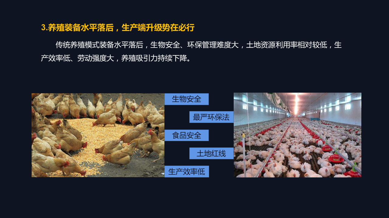 雞病專業(yè)網(wǎng)最新論壇，探討禽病防控技術(shù)與行業(yè)發(fā)展趨勢