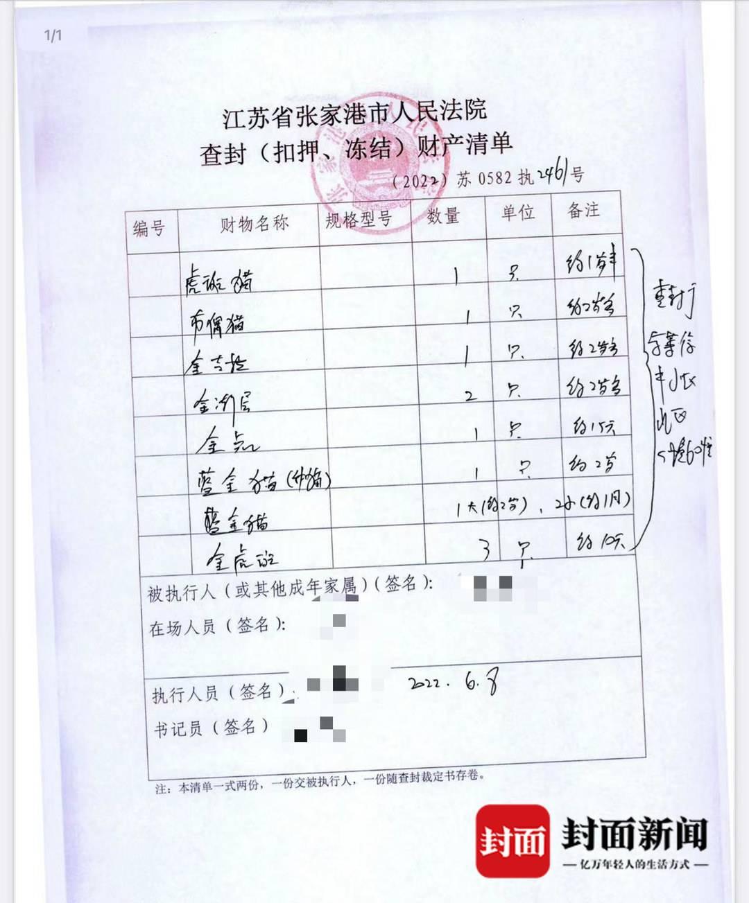 貓咪大戰(zhàn)爭(zhēng)最新破解版，游戲與法律的邊緣