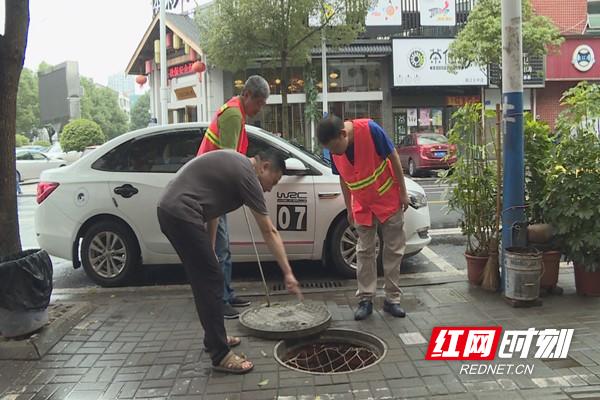 桃江紅網最新消息全面報道