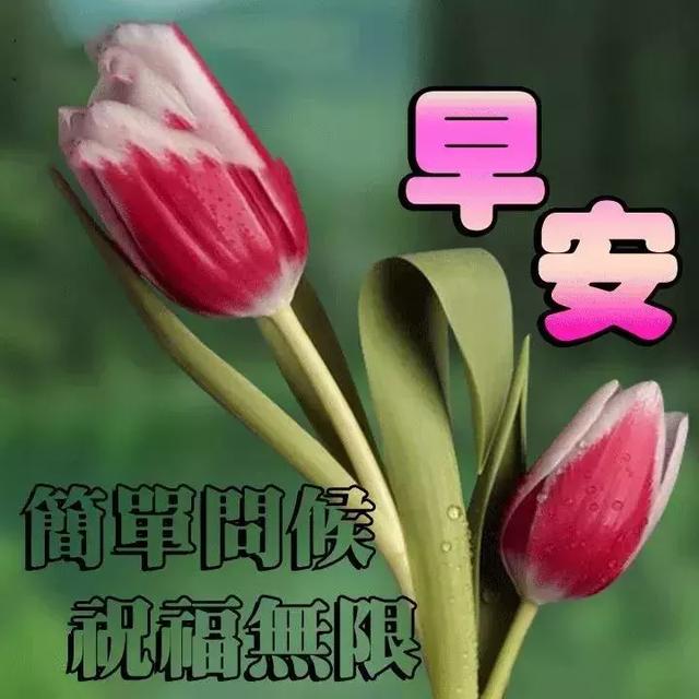 最新早上好表情圖，開啟美好一天的溫馨問候