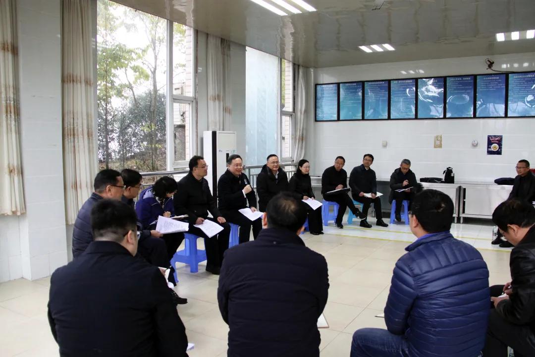 老鷹巖水電站最新動(dòng)態(tài)，進(jìn)展、影響與展望