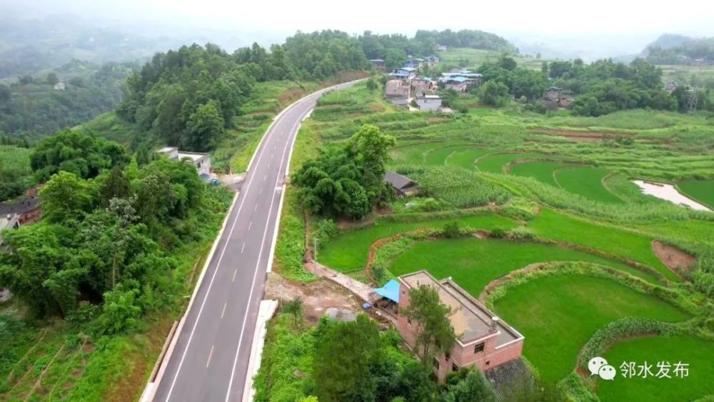 鄰水202省道最新動(dòng)態(tài)，邁向現(xiàn)代化交通建設(shè)的步伐穩(wěn)健前行