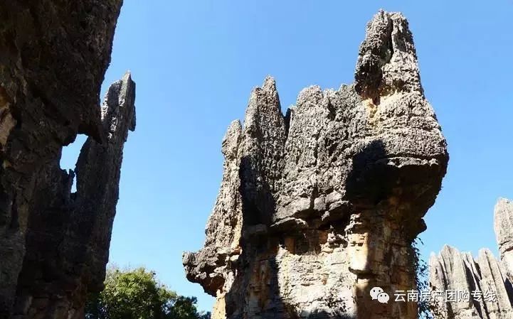 石林風(fēng)景區(qū)最新招聘啟事——探尋人才，共筑旅游勝地