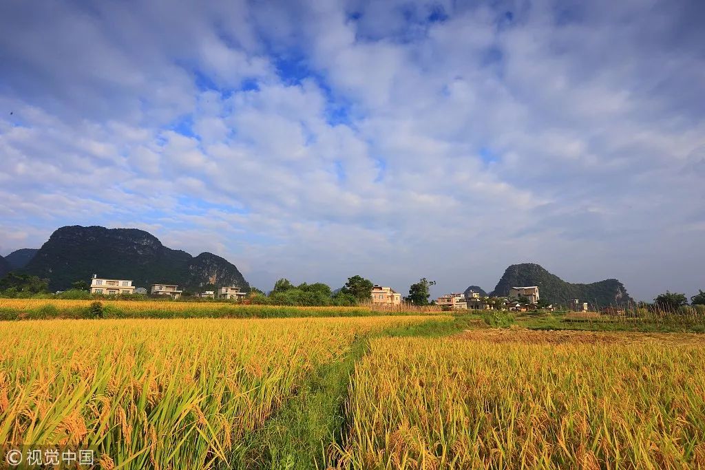 井岡山旅游上市最新動(dòng)態(tài)，發(fā)展機(jī)遇與挑戰(zhàn)并存