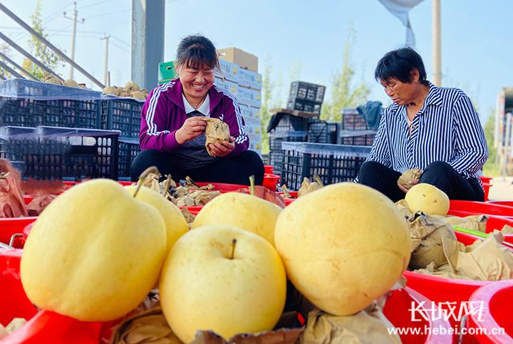 阜城長(zhǎng)城學(xué)校最新消息全面解讀