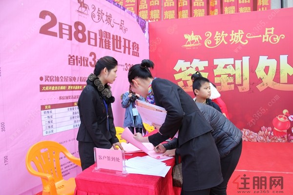 欽城一品最新動(dòng)態(tài)，揭開城市新篇章的序幕