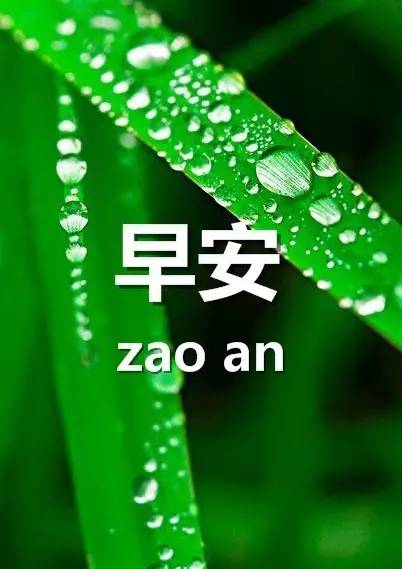 最新早安問(wèn)候語(yǔ)微信，開啟美好一天的溫馨問(wèn)候