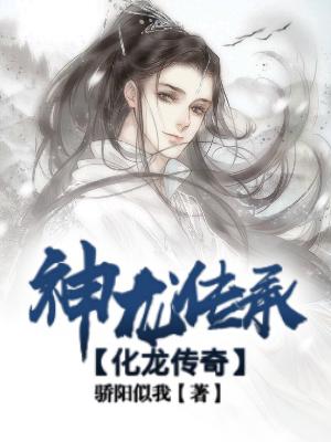 九轉(zhuǎn)神龍?jiān)E最新更新，神秘力量的覺醒與探索