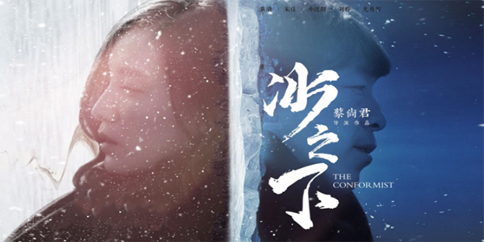 楚離余向晚最新章節(jié)，命運(yùn)的交織與情感的碰撞