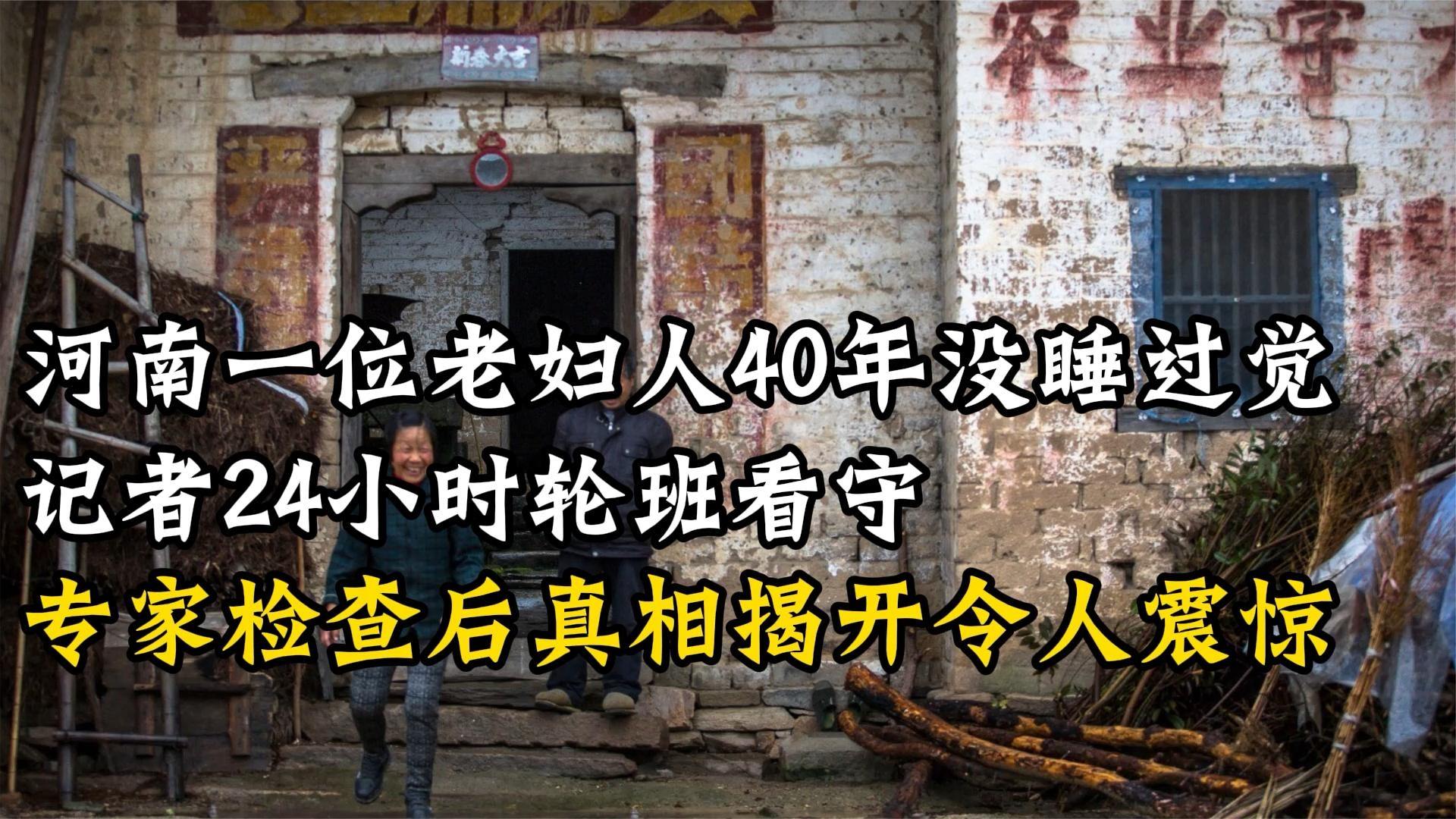 浙江省第一懸案最新進展，揭開歷史迷霧，探尋真相之路