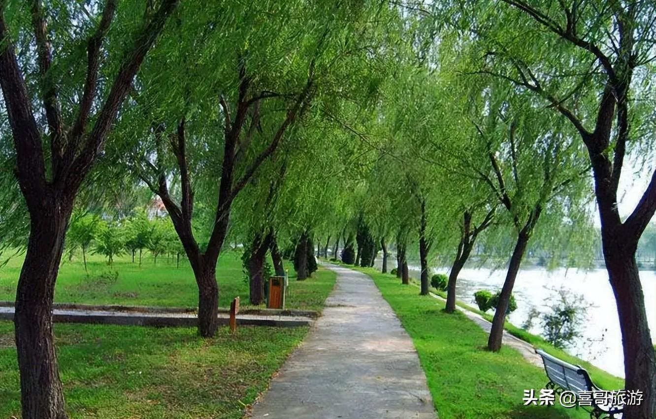 阜陽東方明珠最新動態(tài)，揭開發(fā)展新篇章的序幕
