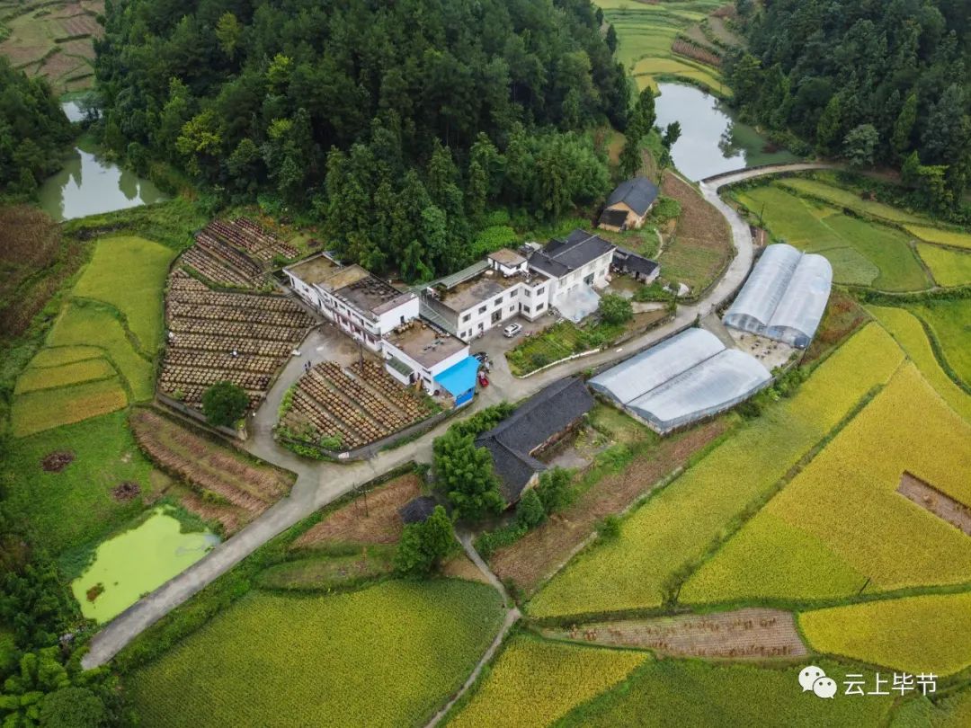 畢節(jié)田壩橋鎮(zhèn)最新規(guī)劃，打造未來田園新典范